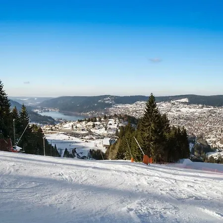 Duplex Bellevue * Gérardmer